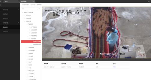 智慧猪场数数安全监测 生猪养殖体温疾病监测预警系统