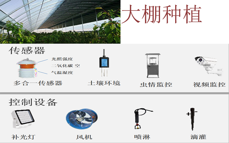 智能农业远程实时监测方案 自动控制温室大棚灌溉系统物联网