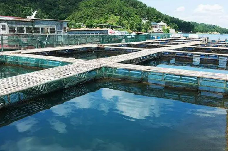 智慧一体化水产养殖实时预警 养殖物联网24小时水质监测