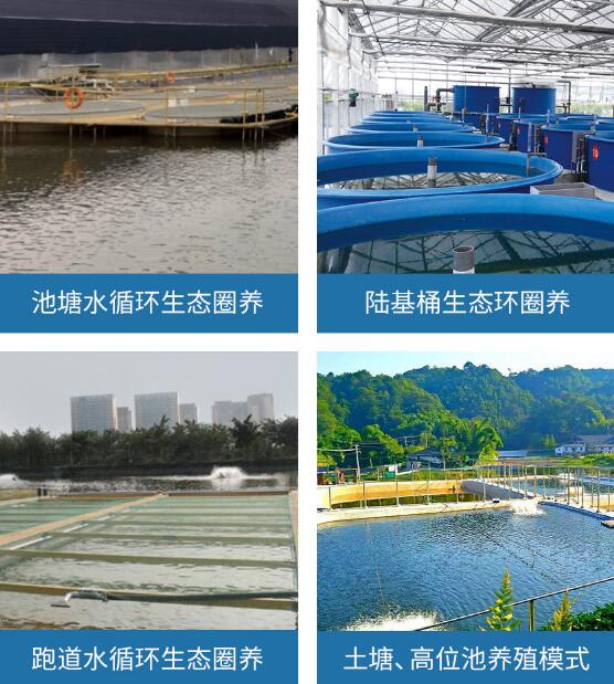 水产养殖在线监测智能控制系统