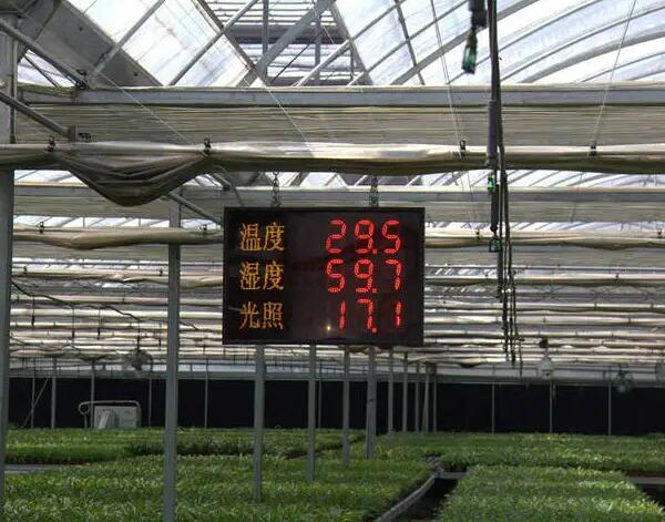 智能蔬菜大棚监测系统 智慧大棚蔬菜种植系统