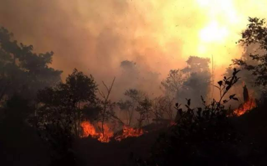  森林烟火识别算法 烟火检测解决方案