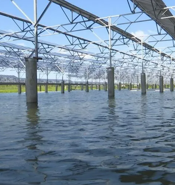 智能水产养殖系统实时监测 水质在线监测和预警