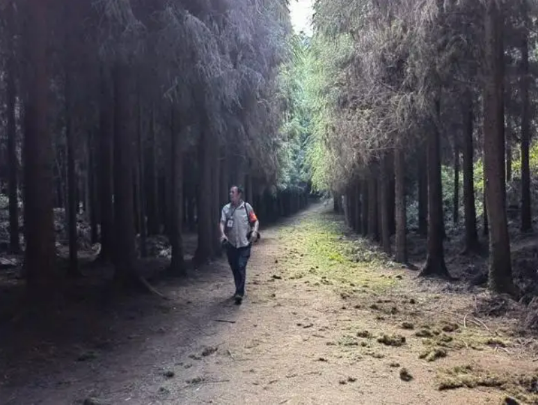 智能视频分析烟火识别系统-森林防火 森林防火智能视频监控