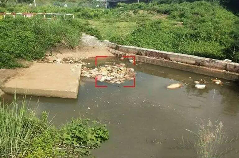 河道漂浮物巡检系统 河道漂浮物监测预警