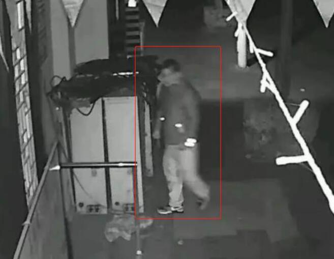 智慧能源人员闯入识别监测 闯入识别检测报警系统