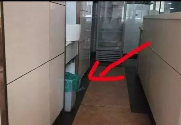 夜间老鼠识别系统 老鼠检测智能算法