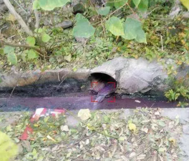 排水口排水识别系统 河道排污口识别监测系统