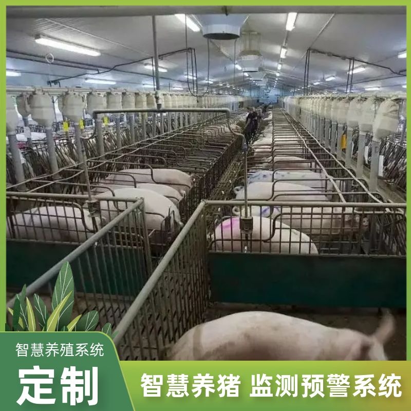 智慧猪场数数安全监测 养殖场环境自动监测系统