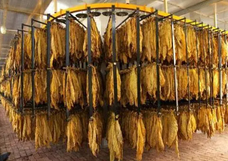 烟草虫情图像采集与监测系统