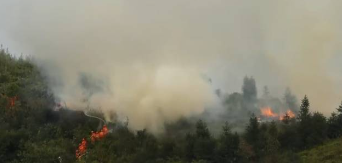 智能烟火识别预警系统