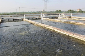 养殖尾水在线监测系统