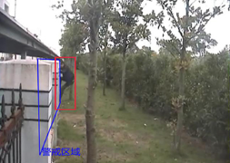 周界入侵智能识别系统