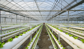 智慧农业自动控制系统 智慧农业远程监控系统