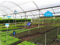 智慧农业物联网远程控制系统