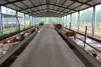 畜禽养殖环境监测系统平台 综合环境智能监控系统