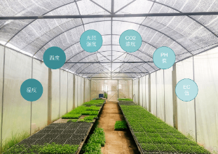 智慧农业温室大棚环境监控系统 温室大棚智能监测系统方案