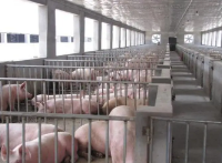 智能养猪场系统解决方案