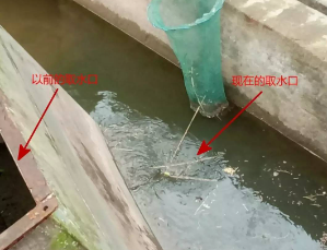排污口漂浮物监测系统 河面漂浮物检测系统