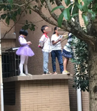 围墙翻越预警系统 越界检测AI识别算法