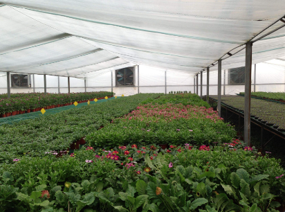 大棚温室环境量监测系统 农业大棚气象数据监测系统