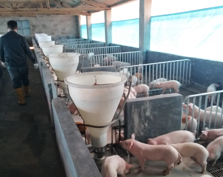 养猪场智能管理系统