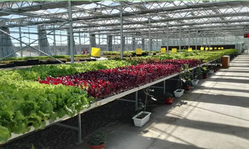 智能农业温室环境监测方案