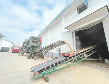 仓库温度在线监测系统 工厂智慧仓库解决方案