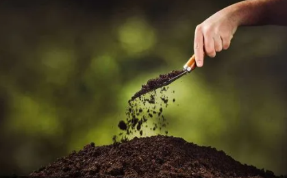 智能农业土壤监测系统 智能农业实时监测方案