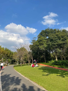 公园客流量统计分析 公园人脸识别客流统计