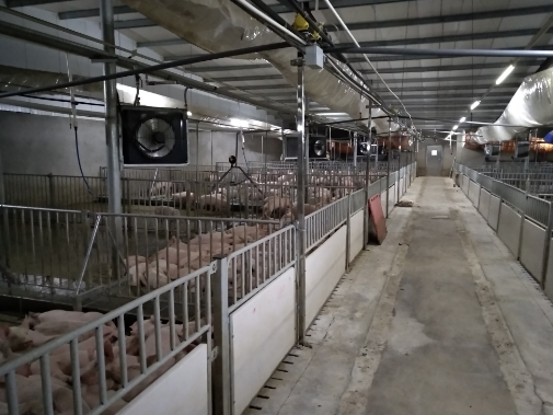 猪舍养殖场环境监测系统