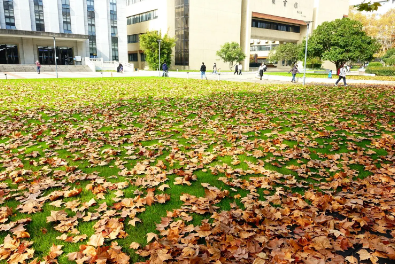 智慧学校监控系统施工方案