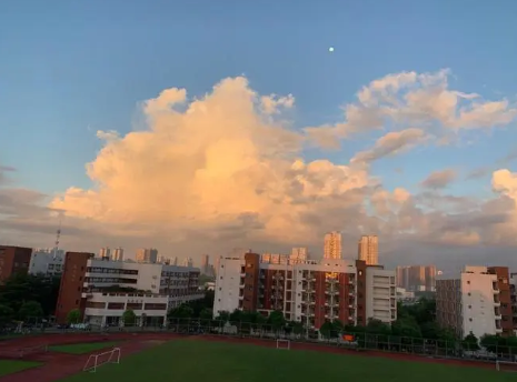 物联网智慧学校平台建设 基于互联网 + 的智慧校园服务平台