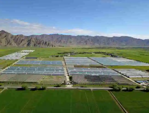 智慧农业云数据平台管理系统 智能水肥一体控制系统