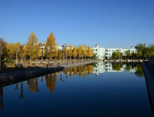 智慧校园软件监控设备 智慧校园管理平台建设