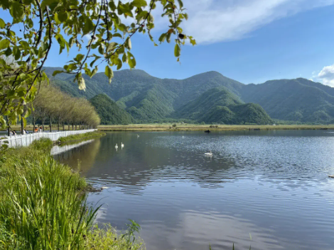 景区客流量统计分析预测 景区客流量统计显示控制系统