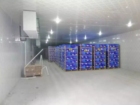 智慧冷链仓储物流解决方案