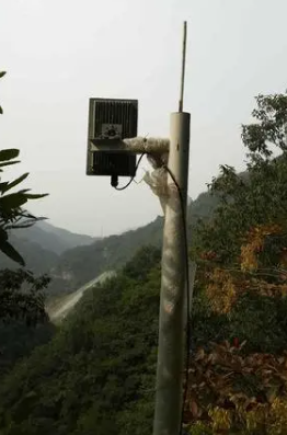 远程智能分析视频监控系统