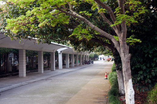 物联网智慧学校监测系统 校园能耗智慧监控平台的设计及应用