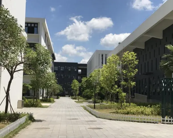 智慧学校监控方案具体有哪些呢