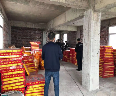 烟花爆竹视频监控预警系统 烟花爆竹仓储企业安全生产风险监测预警系统