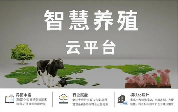 智慧养殖畜禽监测系统解决方案 养殖智慧化管理平台