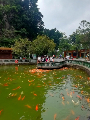 景区客流实时客流统计 景区视频客流统计系统
