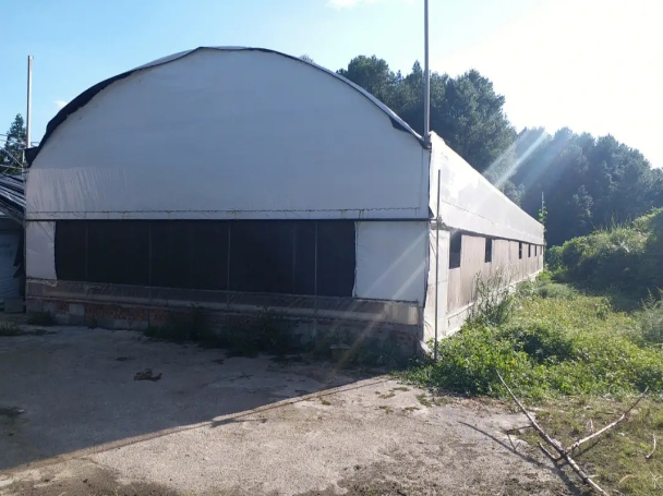 畜禽养殖环境监测系统方案 自动化养猪场干湿分离系统