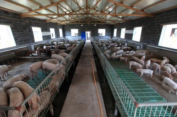 畜禽养殖环境监测系统解决方案