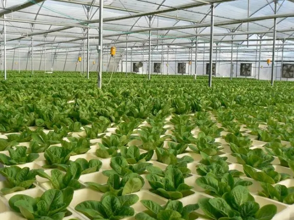 智慧农业信息化解决方案 智慧农业信息化管理平台