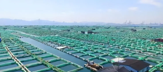 智能海洋养殖监测平台 智能化养殖监测系统