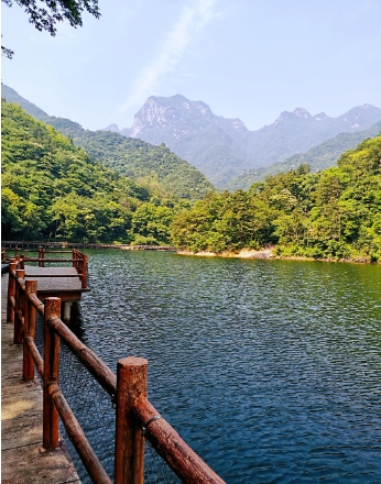 景区客流人数统计系统 景区客流统计分析系统