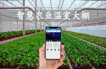 智能温室大棚监测系统