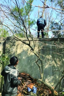 围墙翻越预警系统 Al实时监测越界越墙行为